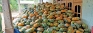 Pumpkin bounty becomes a burden