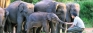 WNPS lecture: Bringing Them Back to the Wild