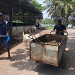 IMG_7856 Two of the three municipal council employees