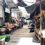 IMG_7867 The Moratuwa market
