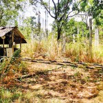 habarana-01_20- habarana-01_20-