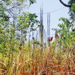 habarana-02_20- habarana-02_20-