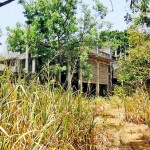 habarana-03_20- habarana-03_20-