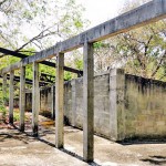 habarana-08_20- habarana-08_20-