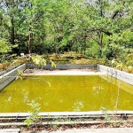 habarana-10_20- habarana-10_20-