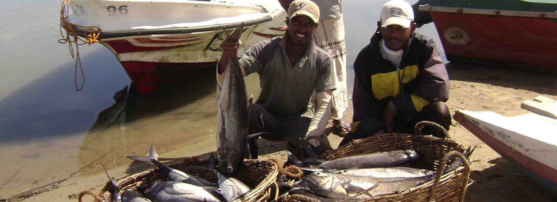 Kalpitiya fishermen allege illegal net use is hurting harvest