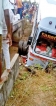 Man killed in bus accident caused by driver falling asleep Man killed in bus accident caused by driver falling asleep