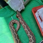 WhatsApp-Image-2025-08-30-at-16.37.15-(1) WhatsApp-Image-2025-08-30-at-16.37.15-(1)