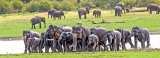 Redefining Sri Lanka’s Human-Elephant Conflict management strategy Redefining Sri Lanka’s Human-Elephant Conflict management strategy