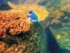 Hambantota Port’s marine biodiversity hotspot Hambantota Port’s marine biodiversity hotspot
