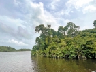 ‘Islands of Hope’: Geoffrey Bawa Trust and WNPS PLANT Unite to Restore Sri Lanka’s Vanishing Ecosystems ‘Islands of Hope’: Geoffrey Bawa Trust and WNPS PLANT Unite to Restore Sri Lanka’s Vanishing Ecosystems