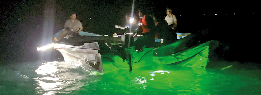 Illegal fishing methods continue to deplete resources, traditional fisherfolk severely affected