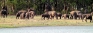 In East, villagers convinced elephant trenches work