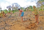 Imported poverty