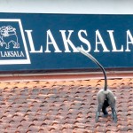 Battaramulla Local arts