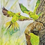 1_P16 Cultivating artistic link with nature and right, young nature lovers at work