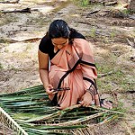 IMG_20251014_114929 IMG_20251014_114929