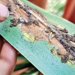 IMG_20251014_120559 IMG_20251014_120559