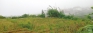 Nuwara Eliya’s small-scale farmers forced to abandon farmlands
