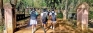 Proposed school overhaul presents transport costs and potential dropout issues