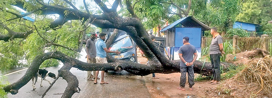 Strong winds, heavy showers to continue until Tuesday, warns Met Dept