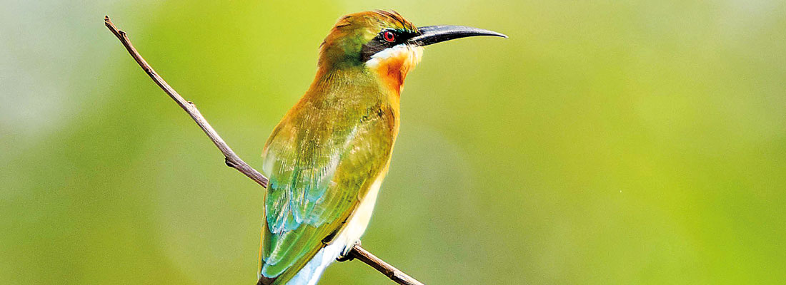 They are back: Watch out for the exhausted that need help