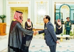 Ambassador Ameer Ajwad presents credentials Ambassador Ameer Ajwad presents credentials