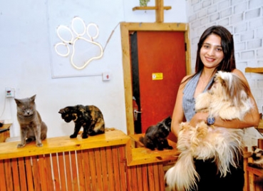 When you need some pet-time