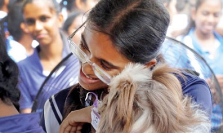 Beyond the classroom, a fun-filled day at HFC