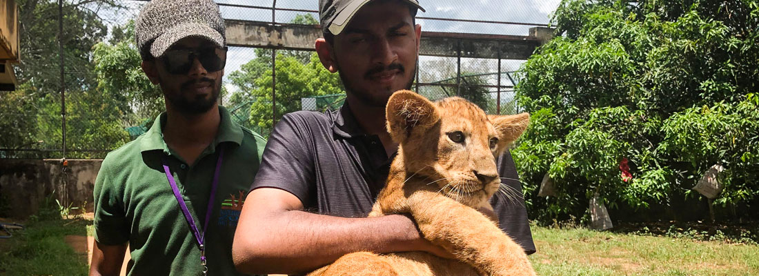 Lovelorn lioness Dora now doting mom of three