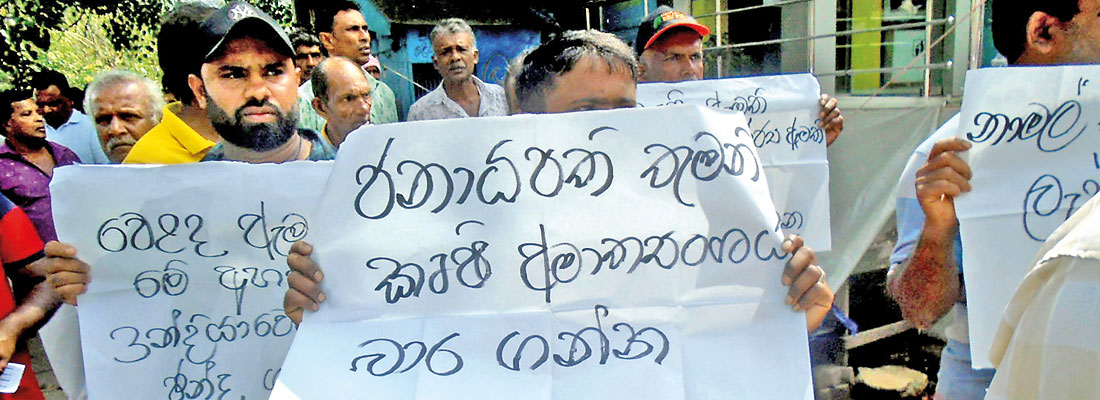 “No more foreign potatoes” chant farmers of Welimada