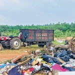 01-(19) Waste being dumped in the Kurukupaluwa mangrove, in the Puttalam District