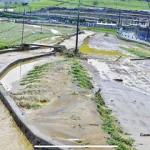 03_P8 after the water receded