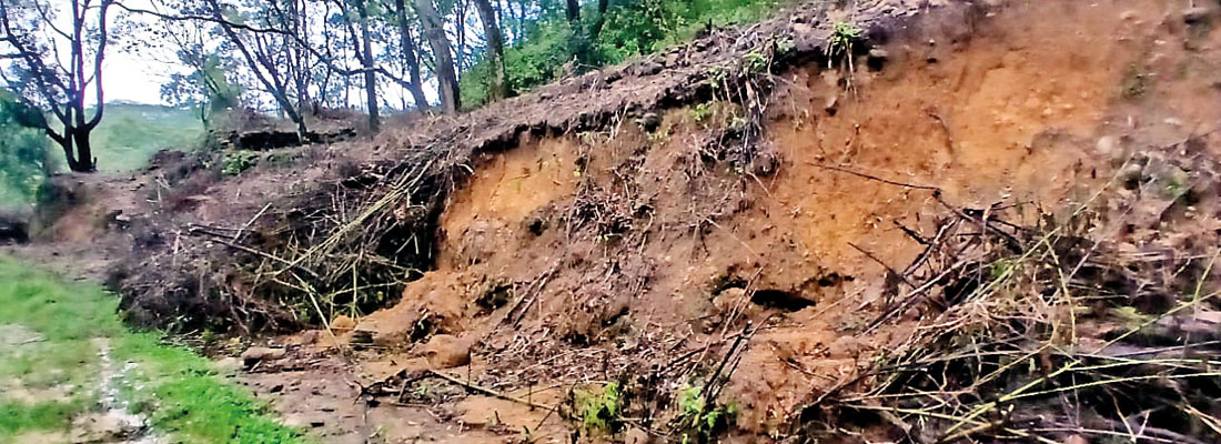 Concerns raised over illegal inroads being made into Knuckles on the pretext of Ditwah disaster