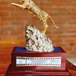 PHOTO-2025-12-11-18-06-28_1 PHOTO-2025-12-11-18-06-28_1