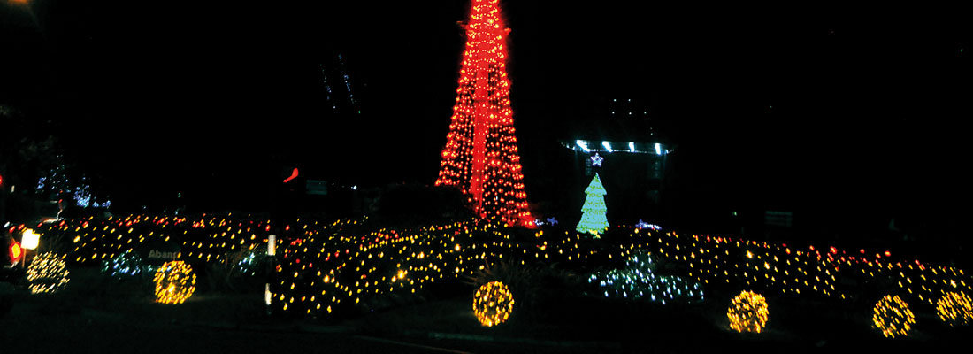 Love shines bright as Christmas lights this season