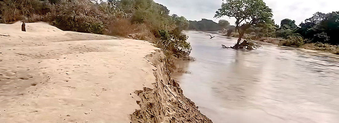 Sand washed up on northern farmland attracts dark hands