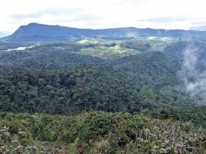 Public talk on Highland Biodiversity