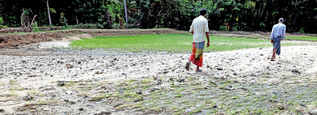 Growth that lasts, not just rebuilds