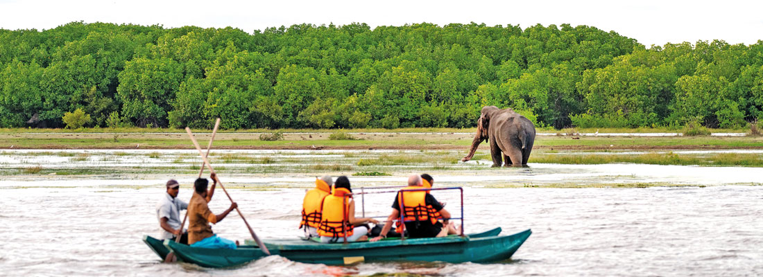 ‘Jetwing Surf & Safari’ named top safari hotel