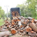 01-(4)