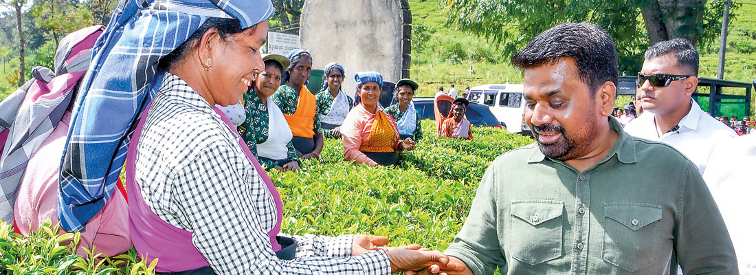 India’s reach within NPP govt. expands amid growing diplomatic niceties