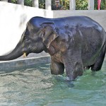 01-(11)_P20 01-(11)_P20