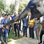 01-(8)_P20 01-(8)_P20