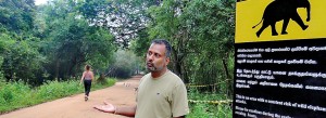 Pidurangala&rsquo;s pachyderm problem needs &ldquo;sustainable solution&rdquo;