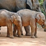 IMG-20260221-WA0030_P20