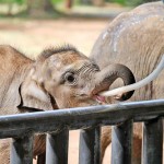 IMG-20260221-WA0031_P20