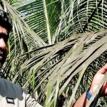 Everything is covered in ash particles, says Anton