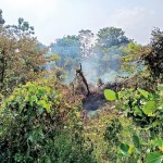 IMG-20260314-WA0019 IMG-20260314-WA0019