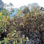 IMG-20260314-WA0020 IMG-20260314-WA0020